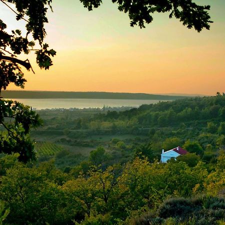 Apartment Robinson Podvrsje Екстер'єр фото