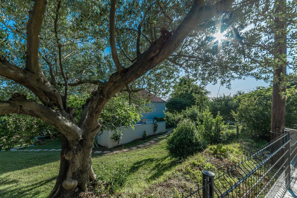 Apartment Robinson Podvrsje Екстер'єр фото