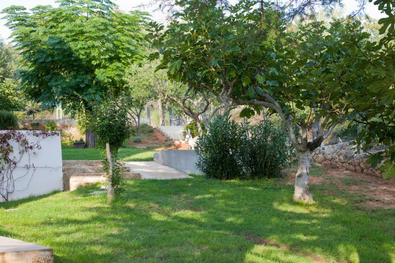 Apartment Robinson Podvrsje Екстер'єр фото
