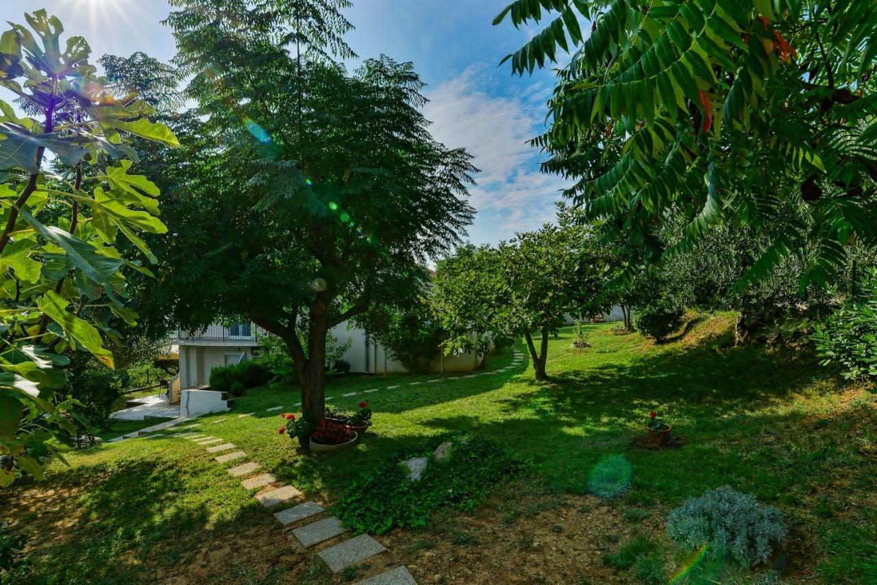Apartment Robinson Podvrsje Екстер'єр фото